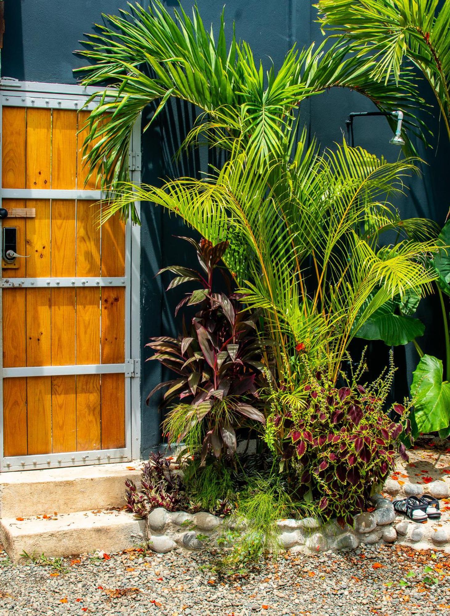 Hotel Mecca Puerto Viejo de Talamanca Exterior foto